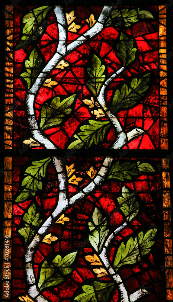 Stained Glass in Leon - branch with leafs