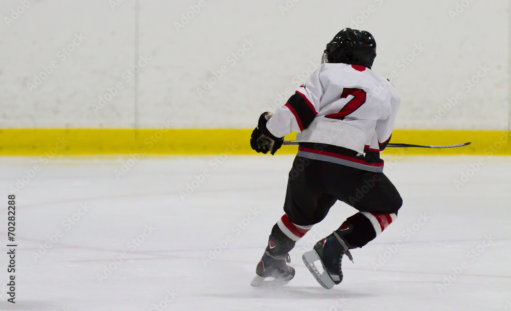 Obraz premium Child playing ice hockey