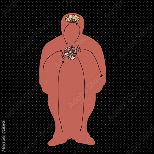 Circulatory System Diagram