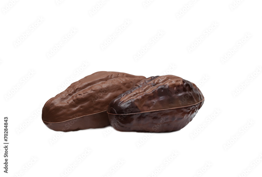 Fruit of cocoa made from milk chocolate Fruit of cocoa made from milk chocolate