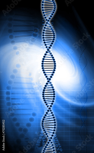 dna