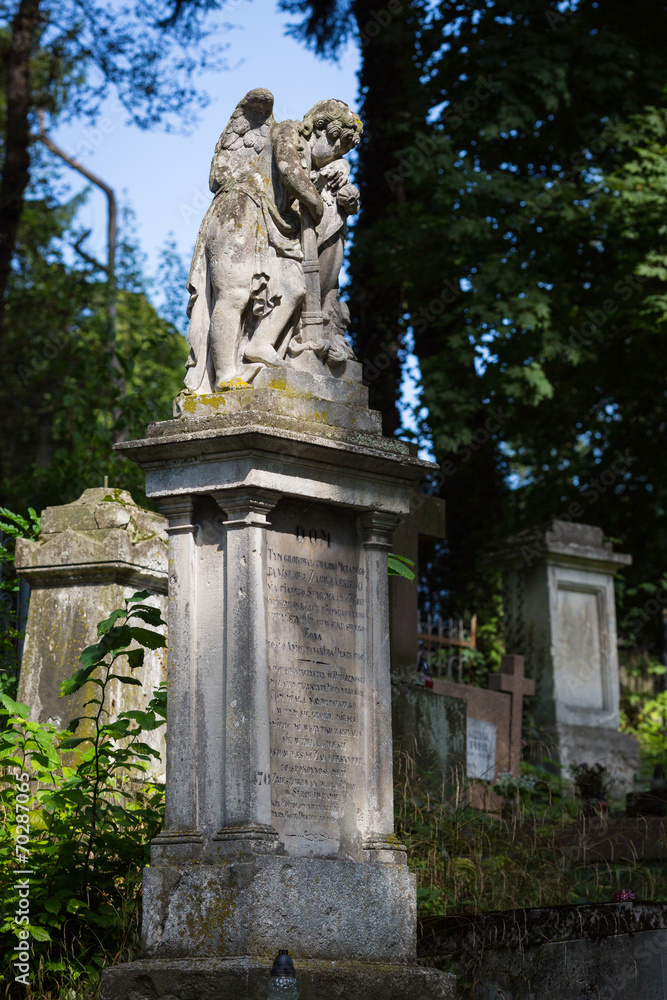 Obraz premium Lychakiv Cemetery