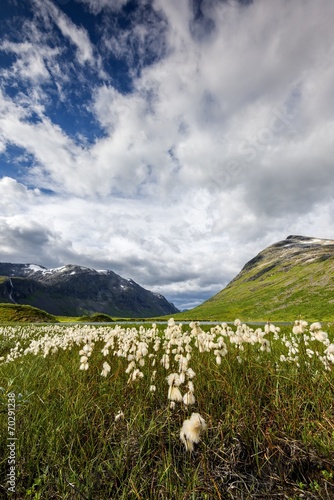 Norwegia ,  krajobraz wiejski