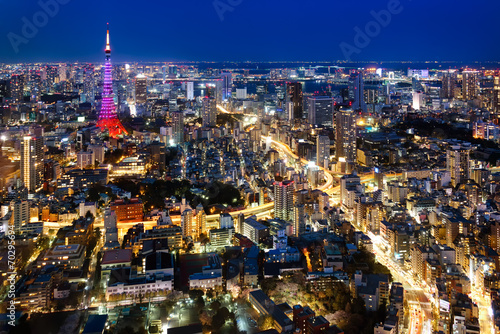 Tokyo city view visible on the horizon