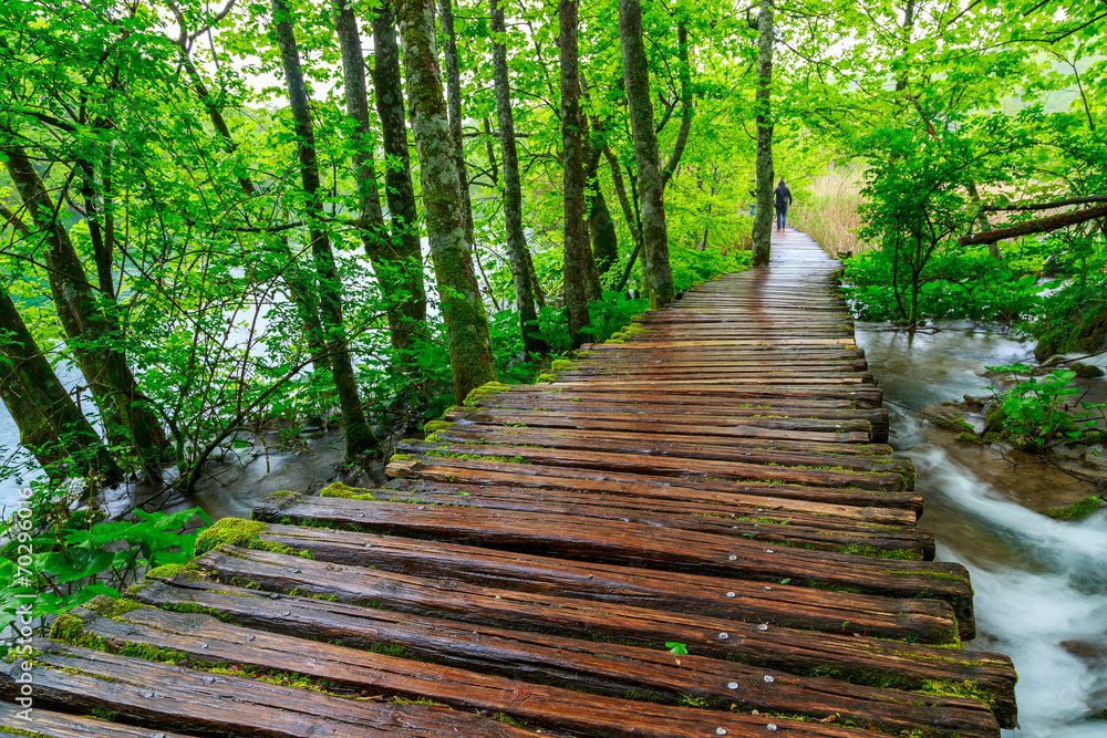 Boardwalk in the park Boardwalk in the park