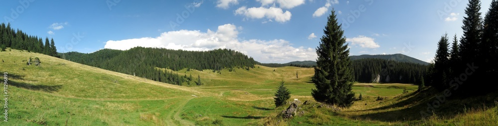 Fototapeta premium Poiana Ponor - valley in Bihor mountains in Apuseni in Romania