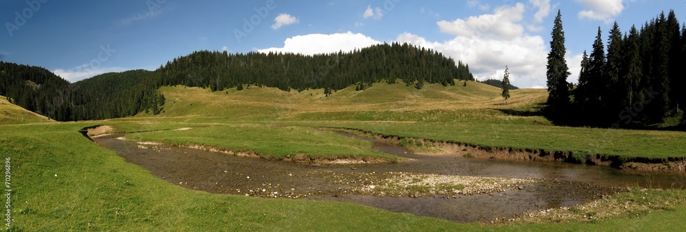Obraz premium Poiana Ponor - valley in Bihor mountains in Apuseni in Romania