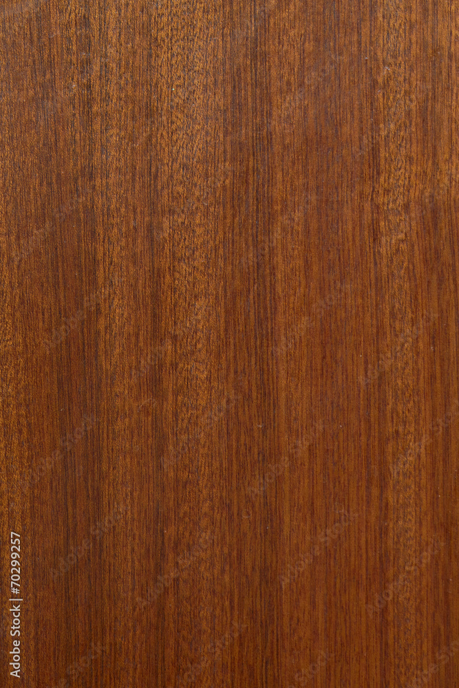 Close up of wood, studio. Close up of wood, studio.