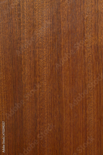 Close up of wood, studio.