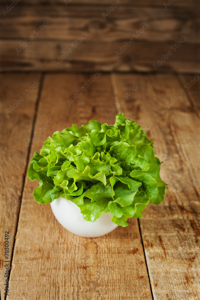 Fresh green kale in ceramic bowl. Selective focus. Fresh green kale in ceramic bowl. Selective focus.