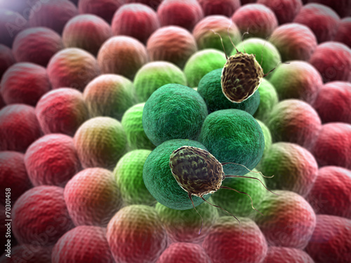 cancer cell, cells
