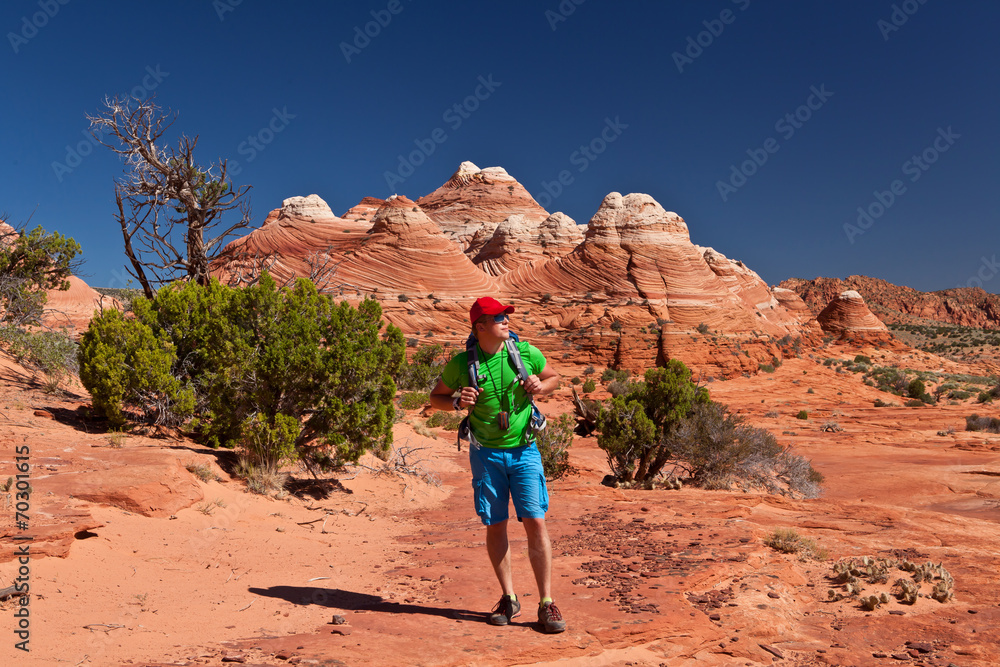 USA - man in coyote buttes recreational park - The wave