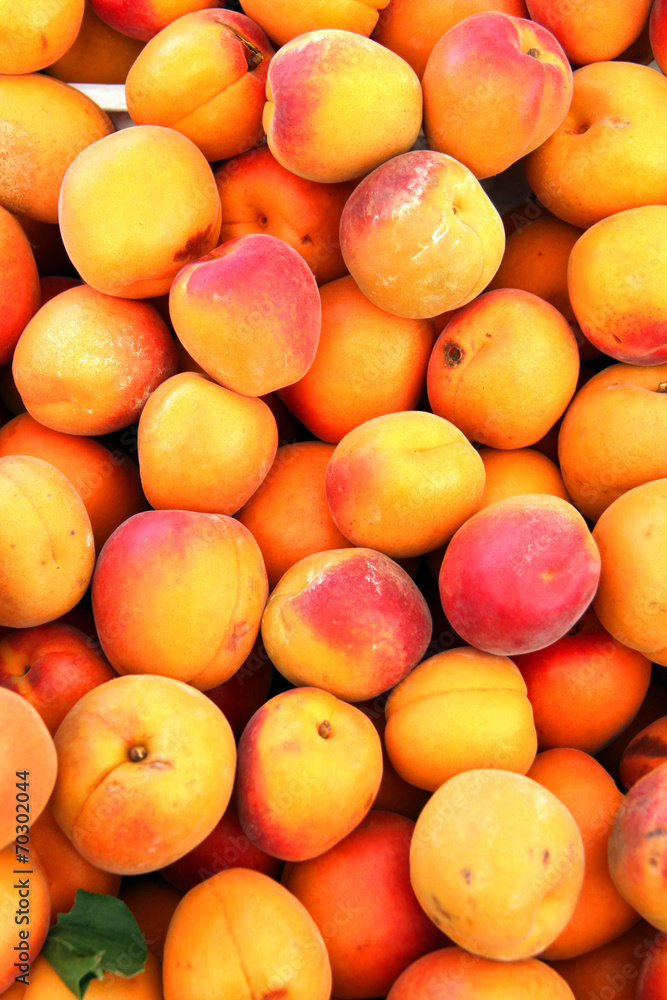 fresh organic ripe nectarines