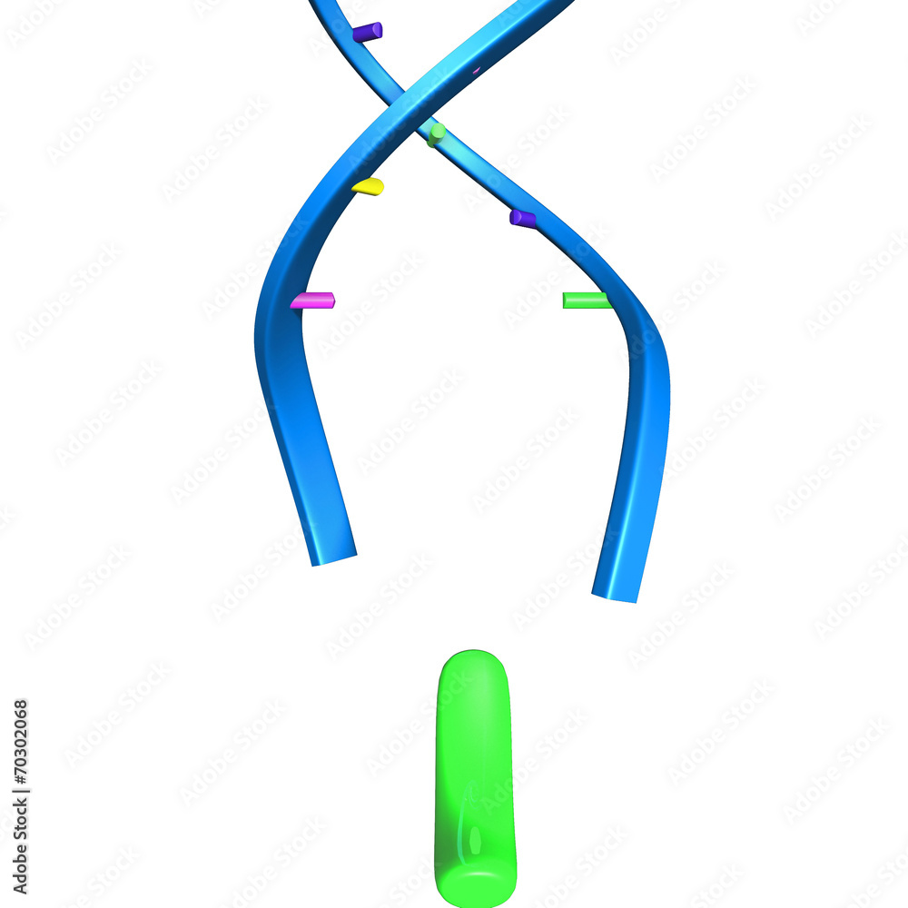 DNA DNA