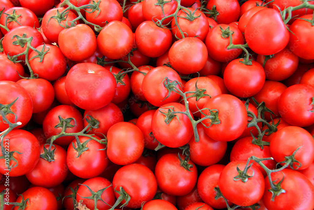 Fresh organic tomatoes Fresh organic tomatoes