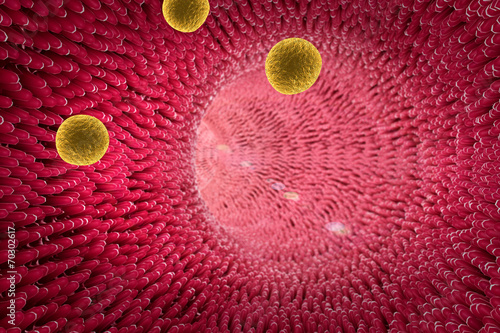 artery, cholesterol