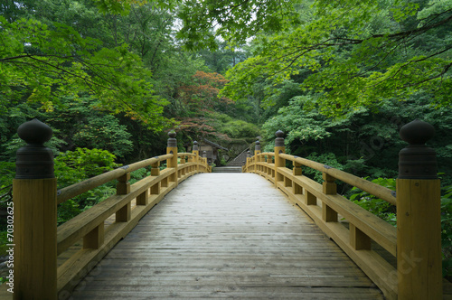 Fototapeta Naklejka Na Ścianę i Meble -  Old wooden bridge in traditional Japanese garden
