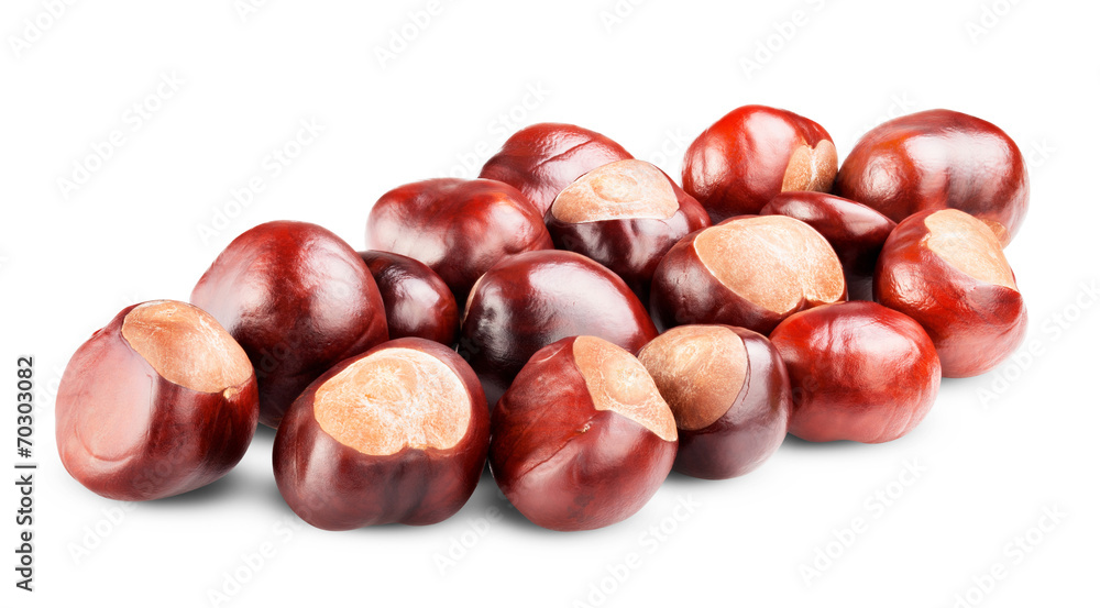 isolated Chestnut isolated Chestnut