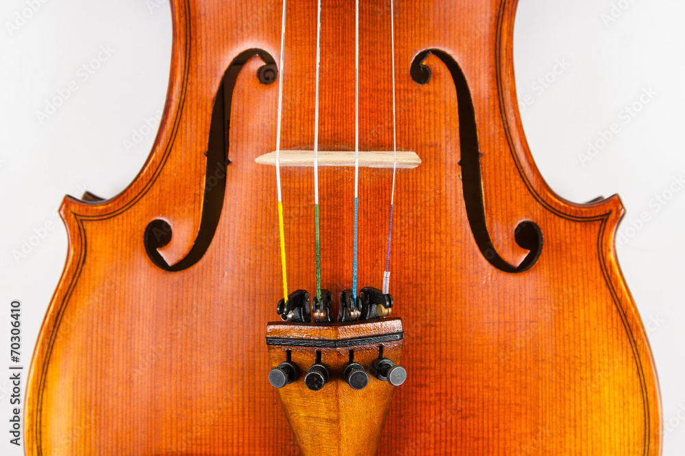 Close up of violin body, fine tuners and bridge on white