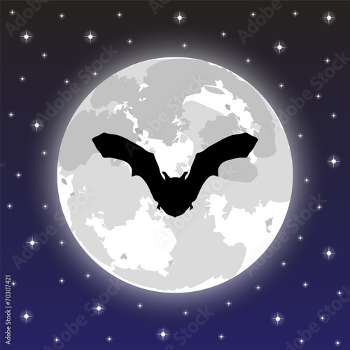 silhouette bat on background of the full moon