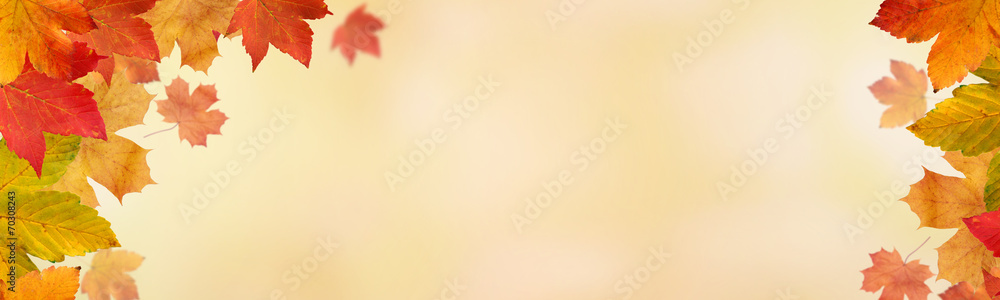 Obraz premium Herbstliches / Bokeh Hintergrund