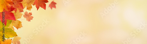 Herbstliches / Bokeh Hintergrund