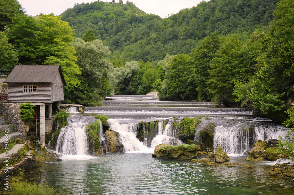 Kostelski Buk