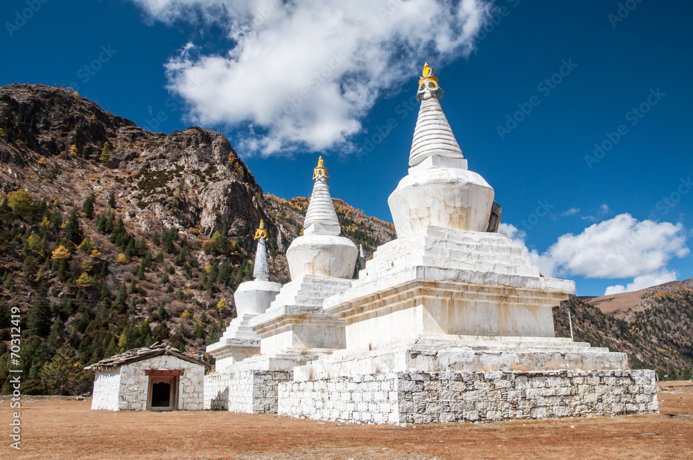 Tibetan pagoda