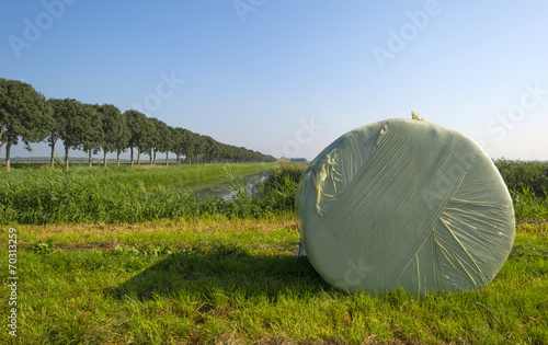 Bale of hay lying in a meadow in summer