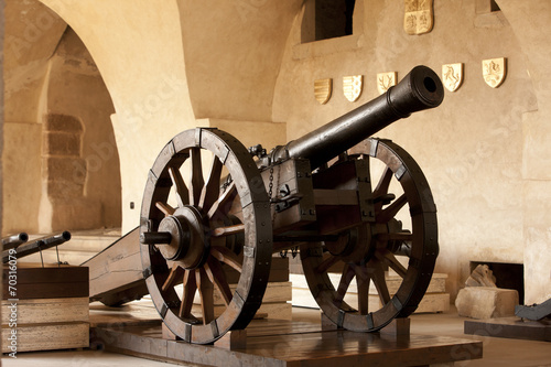 Canvastavla An antique cannon