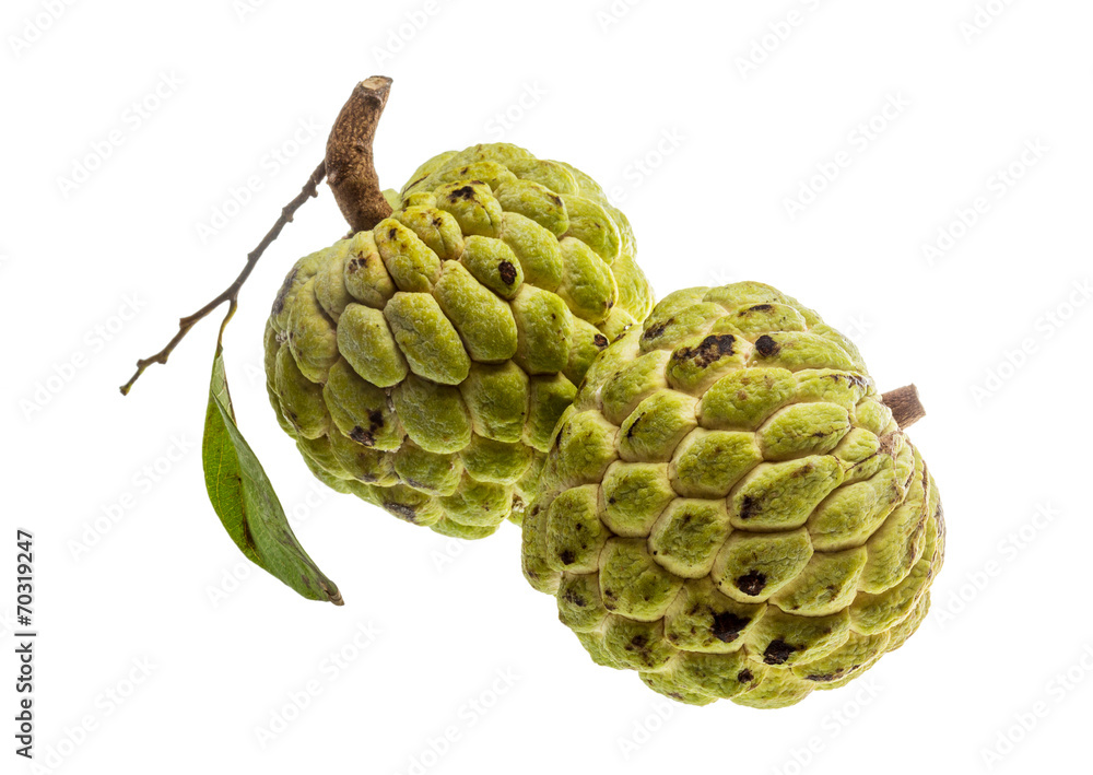 Obraz premium Noni fruit