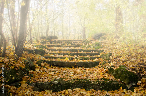Herbst, Treppe im Nebel, Weg nach oben