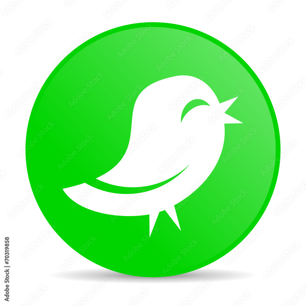 twitter internet icon twitter internet icon