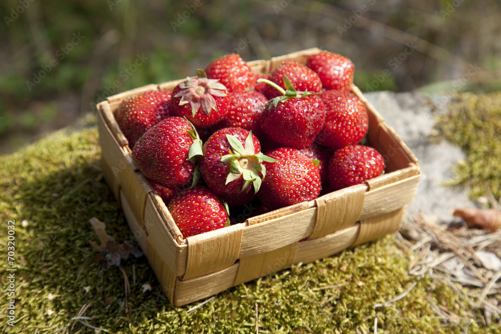 Strawberries in a small wooden basket Strawberries in a small wooden basket