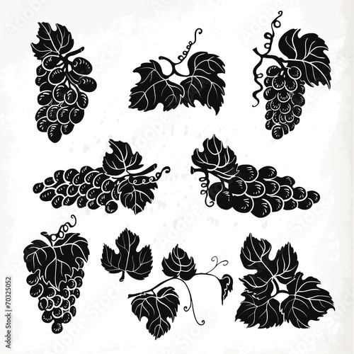 Collection of silhouette grapes, leaves and branches