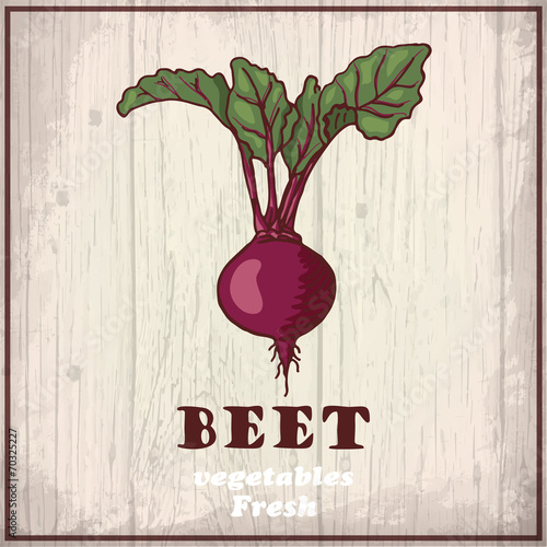 Fresh vegetables sketch of a beet