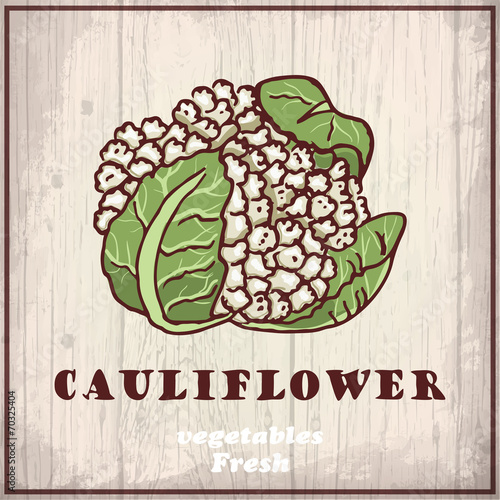 Fresh vegetables sketch of a cauliflower