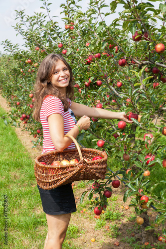 jolie femme cueillant une pomme  © JPchret