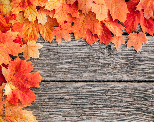 Autumn leaf on wooden boards background