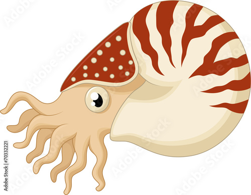 Cartoon nautilus