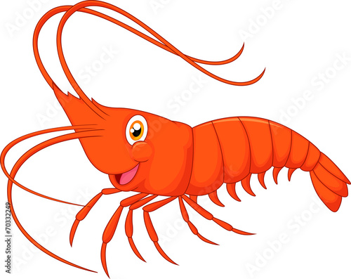 Cute cartoon shrimp