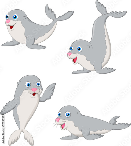 Cute baby seal cartoon