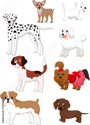 Cartoon dog collection