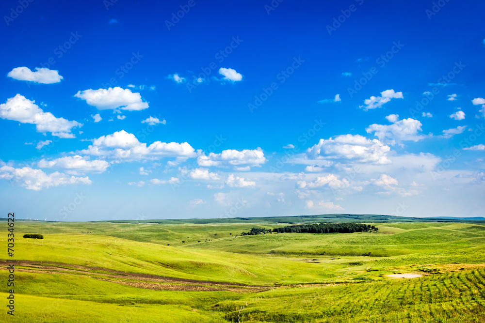 Obraz premium green field and blue sky