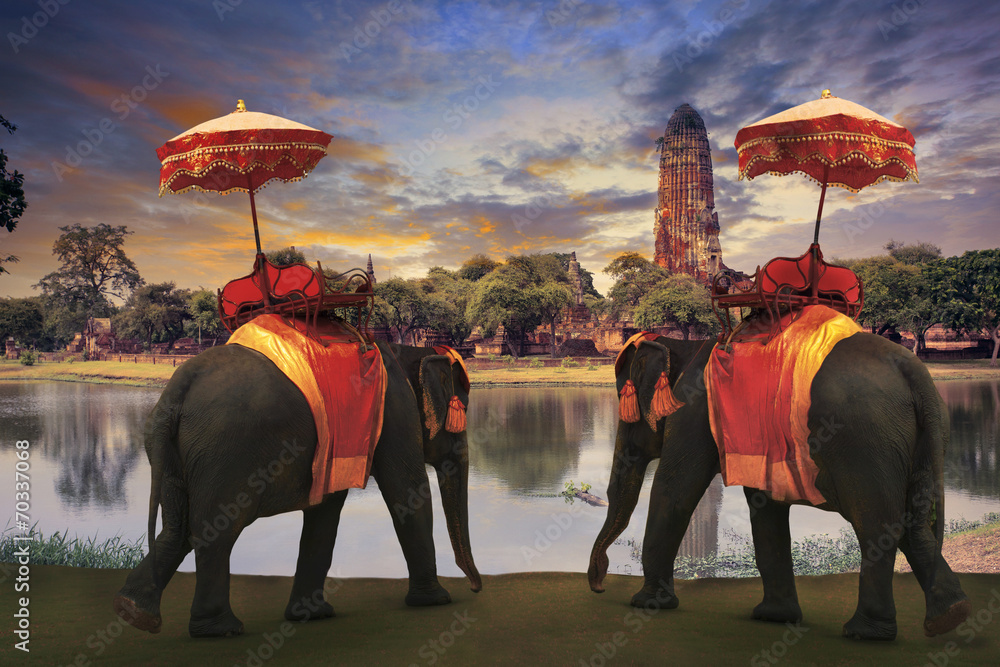 Wall Mural elephant dressing with thai kingdom tradition accessories standi