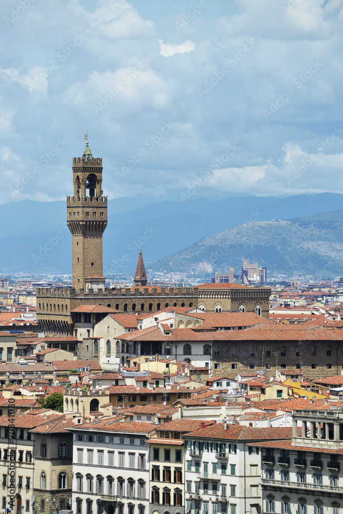 Panorama di Firenze con Palazzo della Signoria