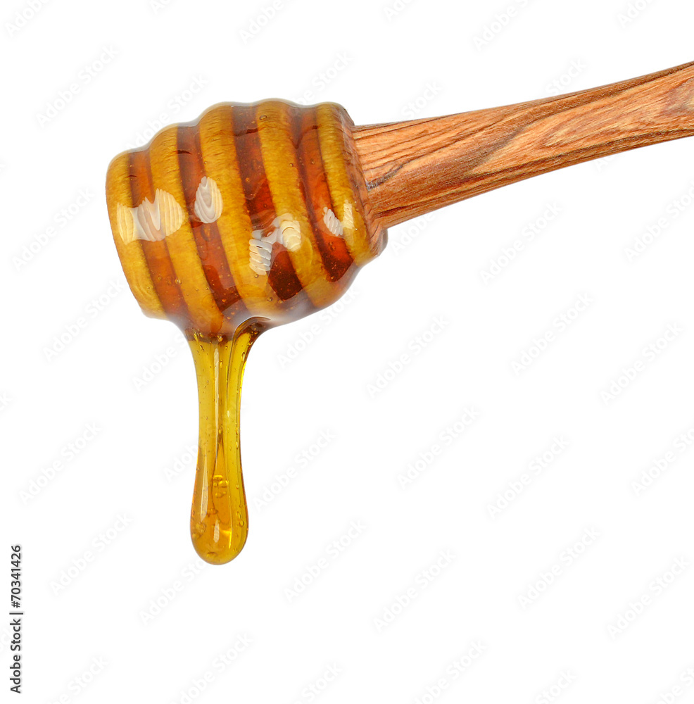 honey honey