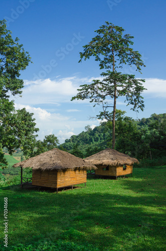 Cottage in Thailand garden,hut in green meadow © kedsirin