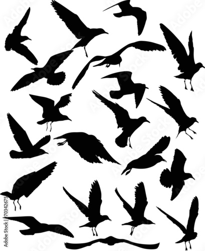 set of twenty gull black silhouettes