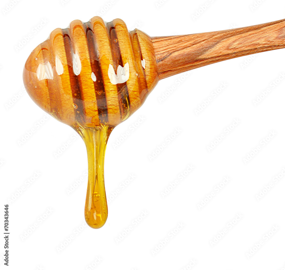 honey honey